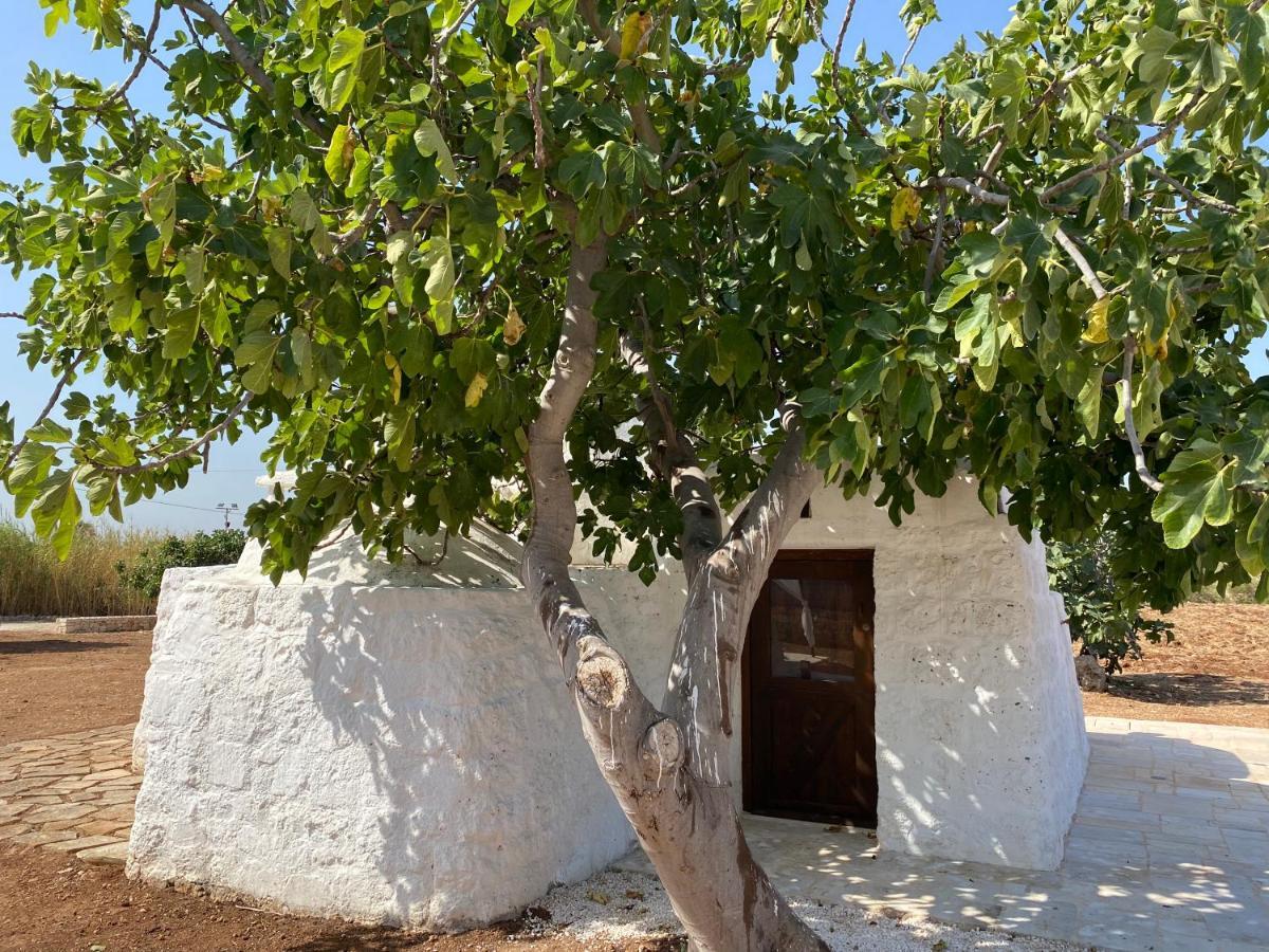 Trullo Seaside Polignano Villa Polignano a Mare Ngoại thất bức ảnh